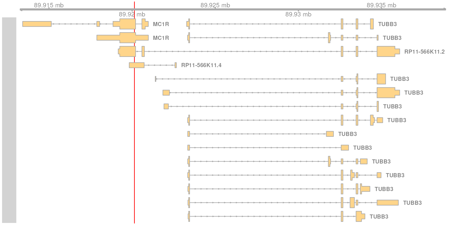 Transcripts overlapping, or close to, the genomic position of interest. Shown are all transcripts The genomic position of the variant is highlighted in red.